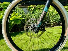 Santa Cruz Bronson AL