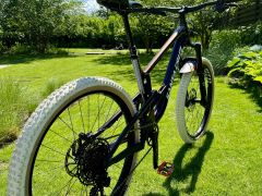 Santa Cruz Bronson AL