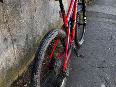 Canyon Lux CF7 M 2020