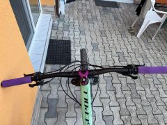 Custom CTM Scroll Xpert