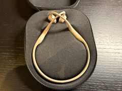 Shokz OpenRun Pro model S810