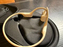 Shokz OpenRun Pro model S810