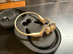 Shokz OpenRun Pro model S810