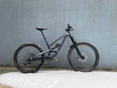 Yt capra cf L