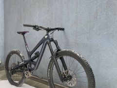 Yt capra cf L