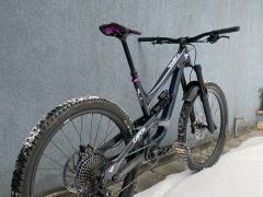Yt capra cf L