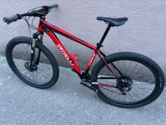 Specialized Curve 2v1, expedícia/MTB