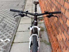 Canyon Nerve Al 6.0