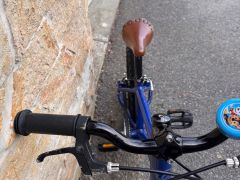 Early Rider