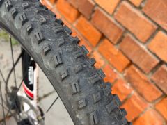 Canyon Nerve Al 6.0