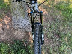 Canyon Torque Mullet AL 6 2023