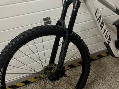 Cannyon strive (2024)