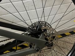 Cannyon strive (2024)