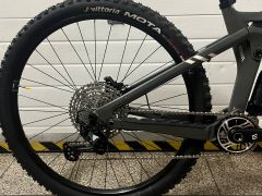 Cannyon strive (2024)