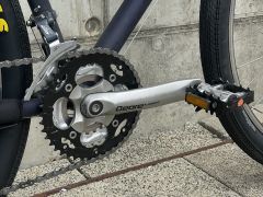 Fatria custom bicykel