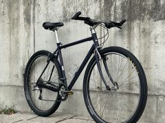 Fatria custom bicykel