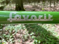 Favorit Cronos carbon with belt drive