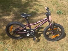 Scott Contessa 16 (2022)