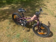 Scott Contessa 16 (2022)
