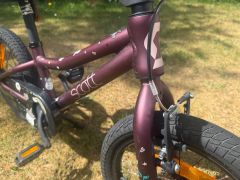 Scott Contessa 16 (2022)