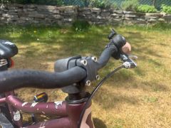 Scott Contessa 16 (2022)