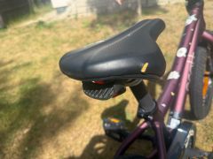 Scott Contessa 16 (2022)