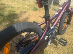 Scott Contessa 16 (2022)