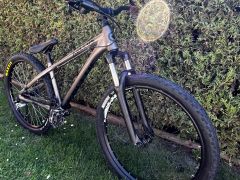 Kellys whip 10