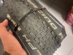 Schwalbe Racing ralph