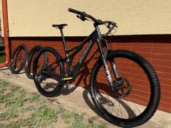 Specialized Stumpjumper carbon comp 29