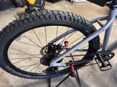 Schwalbe Big Betty