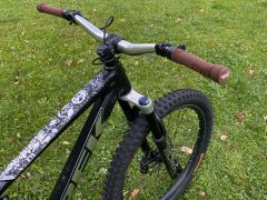 Trek Remedy 8 2020 custom