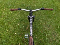 Trek Remedy 8 2020 custom