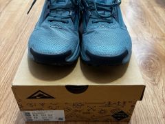 Trailové topánky Nike Pegasus Trail 5 Gore-Tex