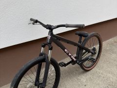 CTM Dirtking 2022