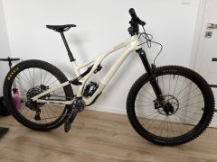 Specialized Stumpjumper EVO Expert