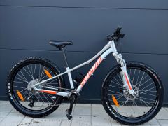 Spezialized Riprock 24