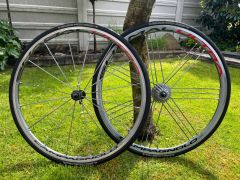 Campagnolo shamal ultra titanium