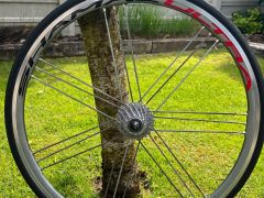 Campagnolo shamal ultra titanium
