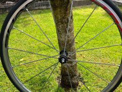 Campagnolo shamal ultra titanium