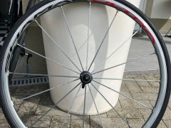 Campagnolo shamal ultra titanium