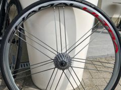 Campagnolo shamal ultra titanium