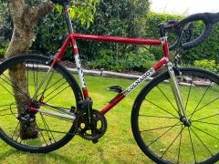 Colnago master , sarroni