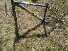 Cannondale culo
