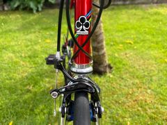 Colnago master , sarroni