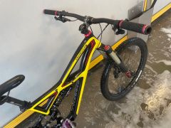 Specialized Enduro EVO