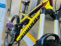 Specialized Enduro EVO