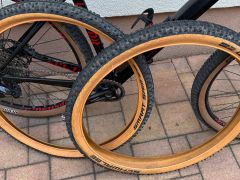 Ghost Lector 2.9 LC