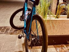 Basso Venta Disc