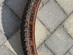 Schwalbe  plaste